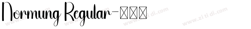 Normung Regular字体转换